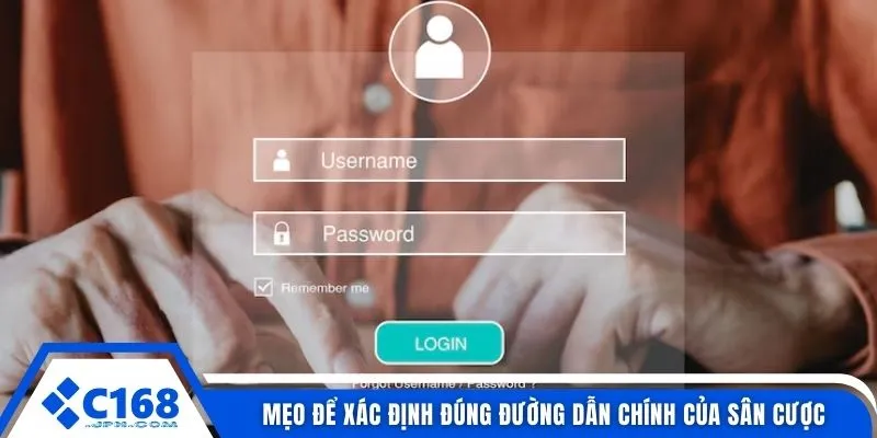 Mẹo để xác định đúng đường dẫn chính của sân cược