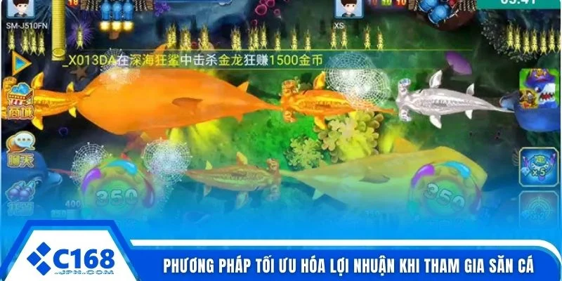 Phương pháp tối ưu hóa lợi nhuận khi tham gia săn cá