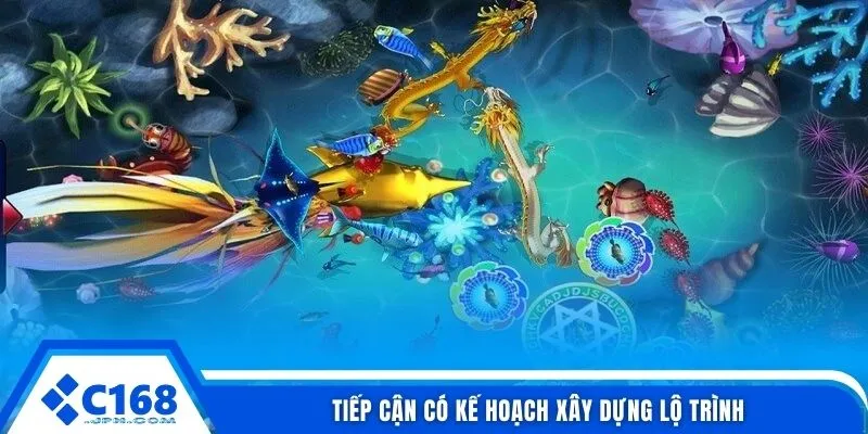 Tiếp cận có kế hoạch xây dựng lộ trình