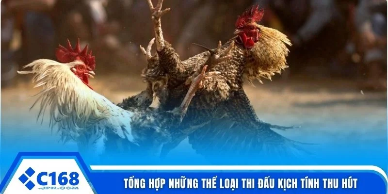 Tổng hợp những thể loại thi đấu kịch tính thu hút